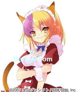 随兴的“ねこさん”