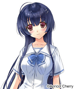 夢川 珠姫 (ゆめかわ たまき) CV:手塚りょうこ