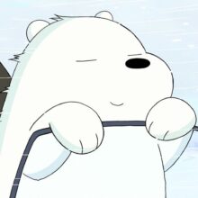 枫