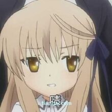 柚子不是幽幽子