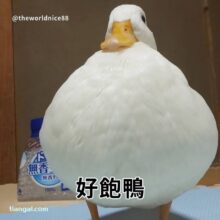 薛語伯
