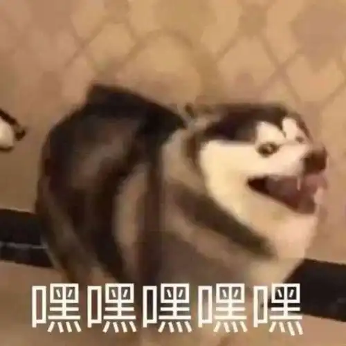 主人公
タクト
