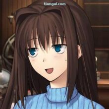 Aozaki shirou