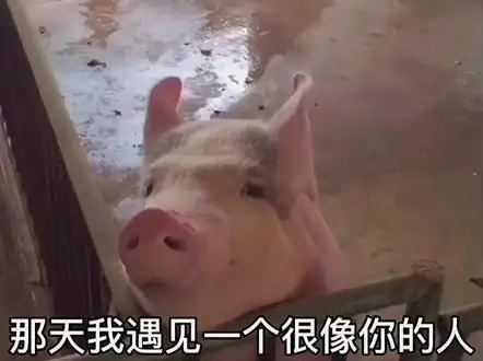 野ノ原 瞬(ののはら しゅん)【主人公】